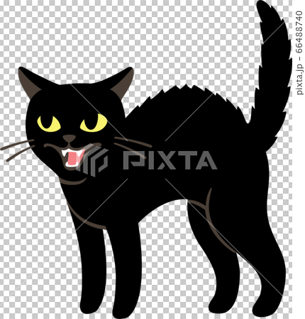 Angry black cat face clipart isolated on white. Cartoon style