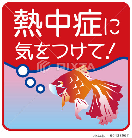 熱中症に気をつけて マスクをした金魚のイラスト 赤枠背景グラデーションのイラスト素材