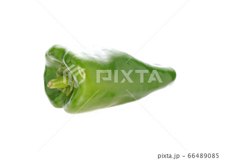 ピーマン ピーマン 66489085