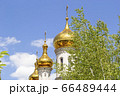 Golden domes of the Orthodox church against the blue sky with a green tree in the foreground 66489444