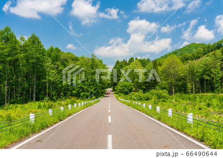 初夏の磐梯吾妻レークラインの風景　青空と直線道路　福島県猪苗代町 66490644