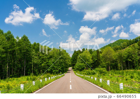 初夏の磐梯吾妻レークラインの風景　青空と直線道路　福島県猪苗代町 66490655