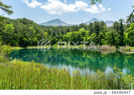 五色沼自然探勝路の新緑風景　るり沼と磐梯山　福島県北塩原村 66490947