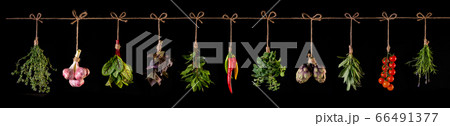 panorama of fresh vegetables and spices on wooden background panorama of fresh vegetables and spices on wooden background 66491377
