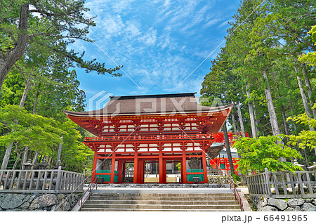 【高野山 壇上伽藍 中門】 和歌山県伊都郡高野町高野山 【高野山 壇上伽藍 中門】 和歌山県伊都郡高野町高野山 66491965