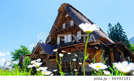 初夏の相倉合掌造り集落 初夏の相倉合掌造り集落 66492191