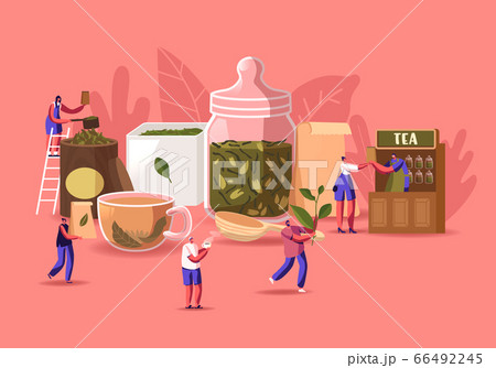 Tea Shop Concept. Tiny Male and Female Characters Packing, Sell and Buying Dry Tea Leaves at Huge Glass Jar and Cup with Fresh Beverage. Hot Drink Brew Retail. Cartoon People Vector Illustration 66492245