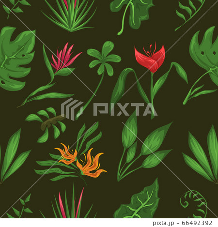 Jungle leaves and flowers pattern 66492392