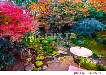 紅葉の旧竹林院と野点傘 紅葉の旧竹林院と野点傘 66492815