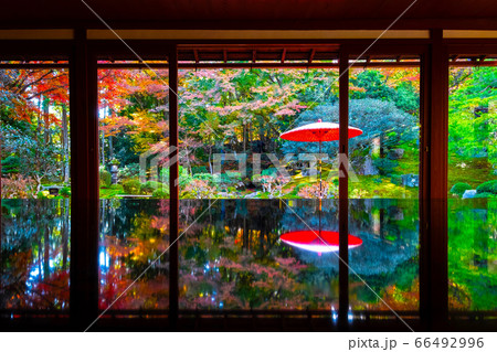 旧竹林院の紅葉 66492996