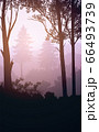 Natural forest mountains horizon hills silhouettes of trees. Evening Sunrise and sunset. Landscape wallpaper. Illustration vector style. Colorful view background. 66493739