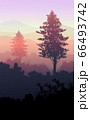 Natural forest mountains horizon hills silhouettes of trees. Evening Sunrise and sunset. Landscape wallpaper. Illustration vector style. Colorful view background. 66493742