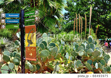 アメリカサンアントニオアラモ伝道所 アメリカサンアントニオアラモ伝道所 66493975