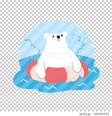 北極熊夏季圓點游泳01 66494910