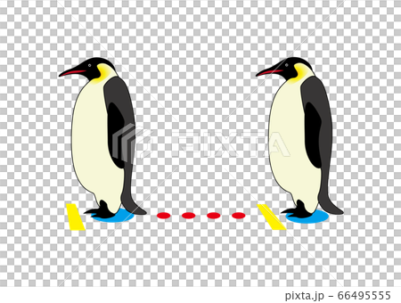 ペンギンでソーシャルディスタンスを表現したイラストのイラスト素材