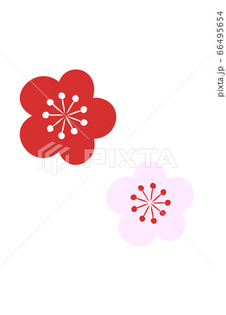 年賀状素材 赤とピンクの梅の花のベクターイラストのイラスト素材