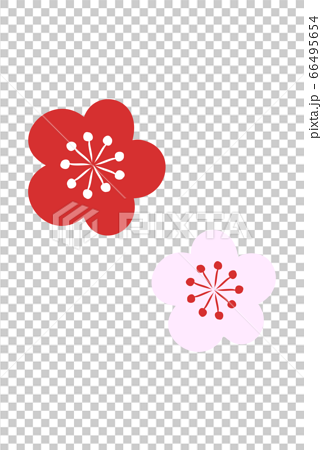 年賀状素材 赤とピンクの梅の花のベクターイラストのイラスト素材