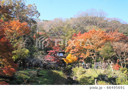 紅葉の中の聴秋閣 66495691