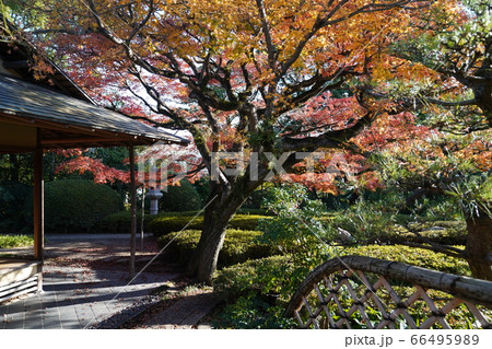 松風園 福岡市平尾 紅葉 松風園 福岡市平尾 紅葉 66495989