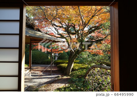 松風園　福岡市平尾　紅葉 66495990