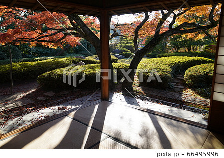 松風園 福岡市平尾 紅葉 松風園 福岡市平尾 紅葉 66495996