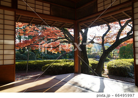 松風園　福岡市平尾　紅葉 66495997