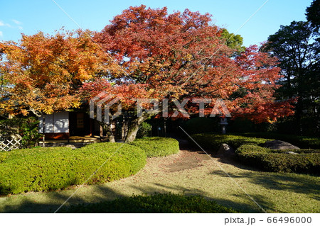 松風園 福岡市平尾 紅葉 松風園 福岡市平尾 紅葉 66496000