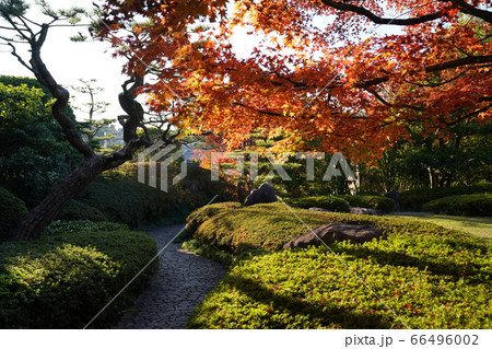 松風園 福岡市平尾 紅葉 松風園 福岡市平尾 紅葉 66496002