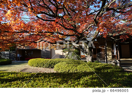 松風園 福岡市平尾 紅葉 松風園 福岡市平尾 紅葉 66496005