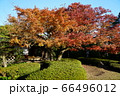 松風園　福岡市平尾　紅葉 66496012