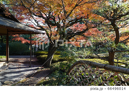 松風園 福岡市平尾 紅葉 松風園 福岡市平尾 紅葉 66496014