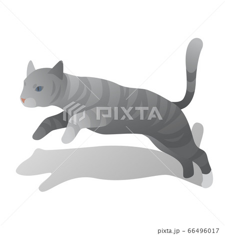 isometric jumping cat 66496017