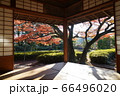 松風園　福岡市平尾　紅葉 66496020