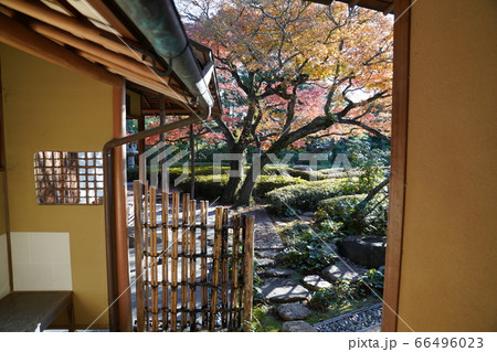 松風園 福岡市平尾 紅葉 松風園 福岡市平尾 紅葉 66496023