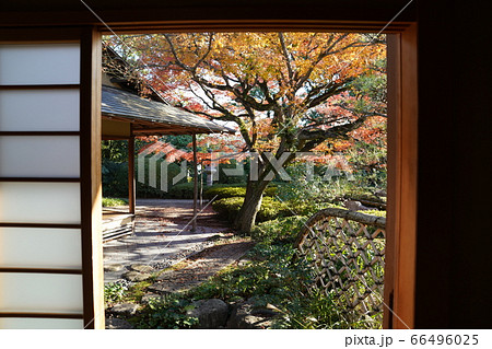 松風園 福岡市平尾 紅葉 松風園 福岡市平尾 紅葉 66496025