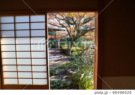 松風園 福岡市平尾 紅葉 松風園 福岡市平尾 紅葉 66496026