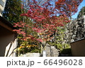松風園　福岡市平尾　紅葉 66496028