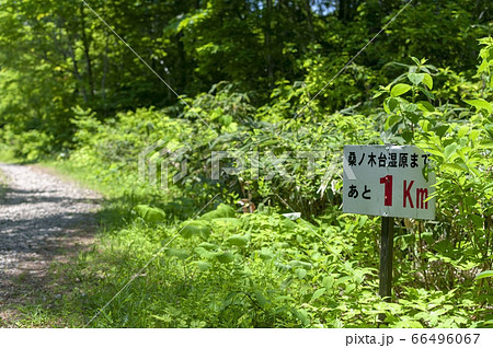 秋田県由利本荘市にある桑ノ木台湿原の案内板 66496067