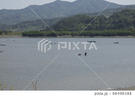 登山 自然 緑 66496388