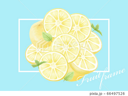 夏 フルーツ グレープフルーツ レモン オレンジ イラストセットのイラスト素材