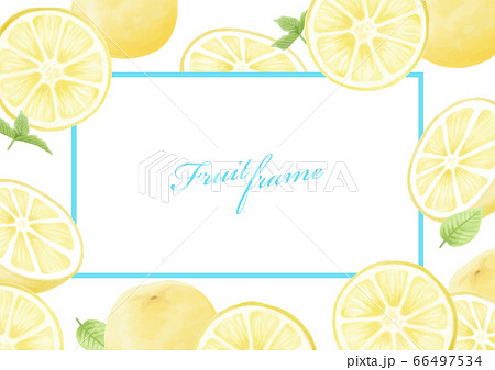 夏 フルーツ グレープフルーツ レモン オレンジ イラストセットのイラスト素材