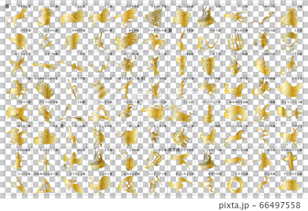 88 constellation frame name 66497558