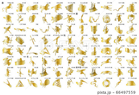 88星座金名称 88星座金名称 66497559