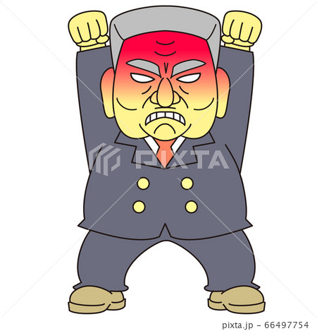 逆上する政治家風の中年 白髪 66497754