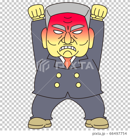 Middle-aged gray hair in a politician style 66497754