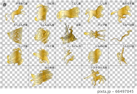 春の星座影あり金枠名称 春の星座影あり金枠名称 66497845