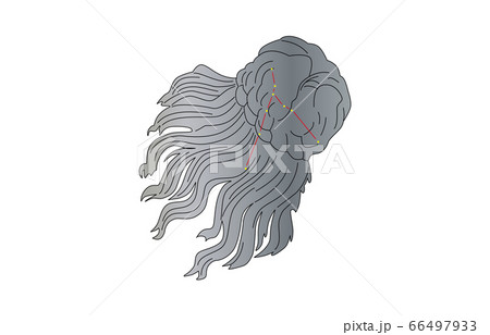 88星座かみのけ座 66497933