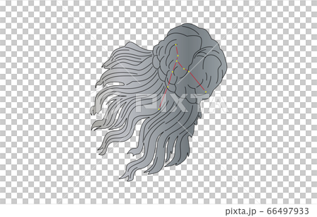 88星座かみのけ座 66497933