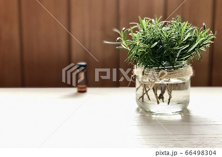 アロマ生活 ナチュラルライフ 4 アロマ生活 ナチュラルライフ 4 66498304