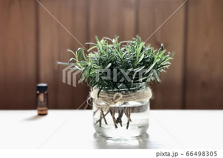 アロマ生活  ナチュラルライフ 5 66498305